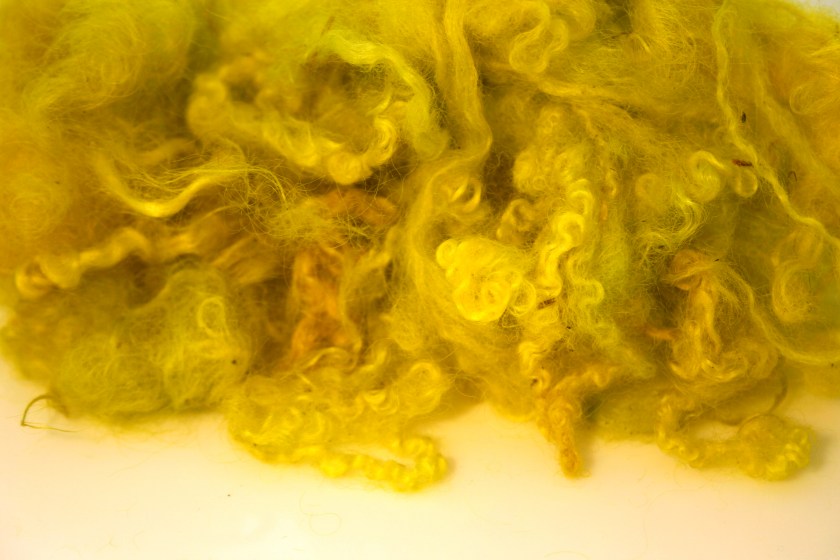 just waiting to get felted into the next project